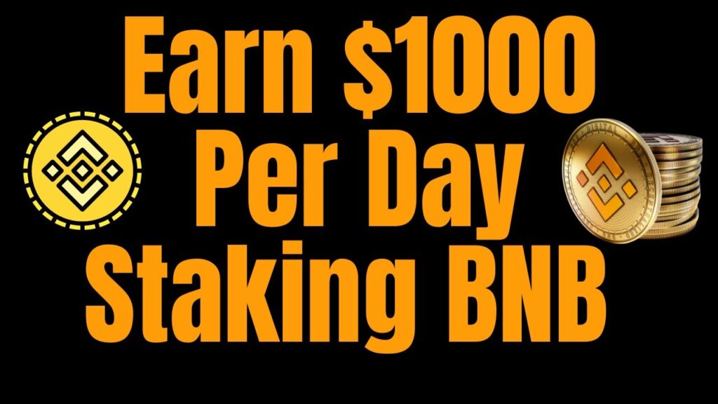 2 DeFi Projects That Make $1000 Per Day Staking BNB Coin